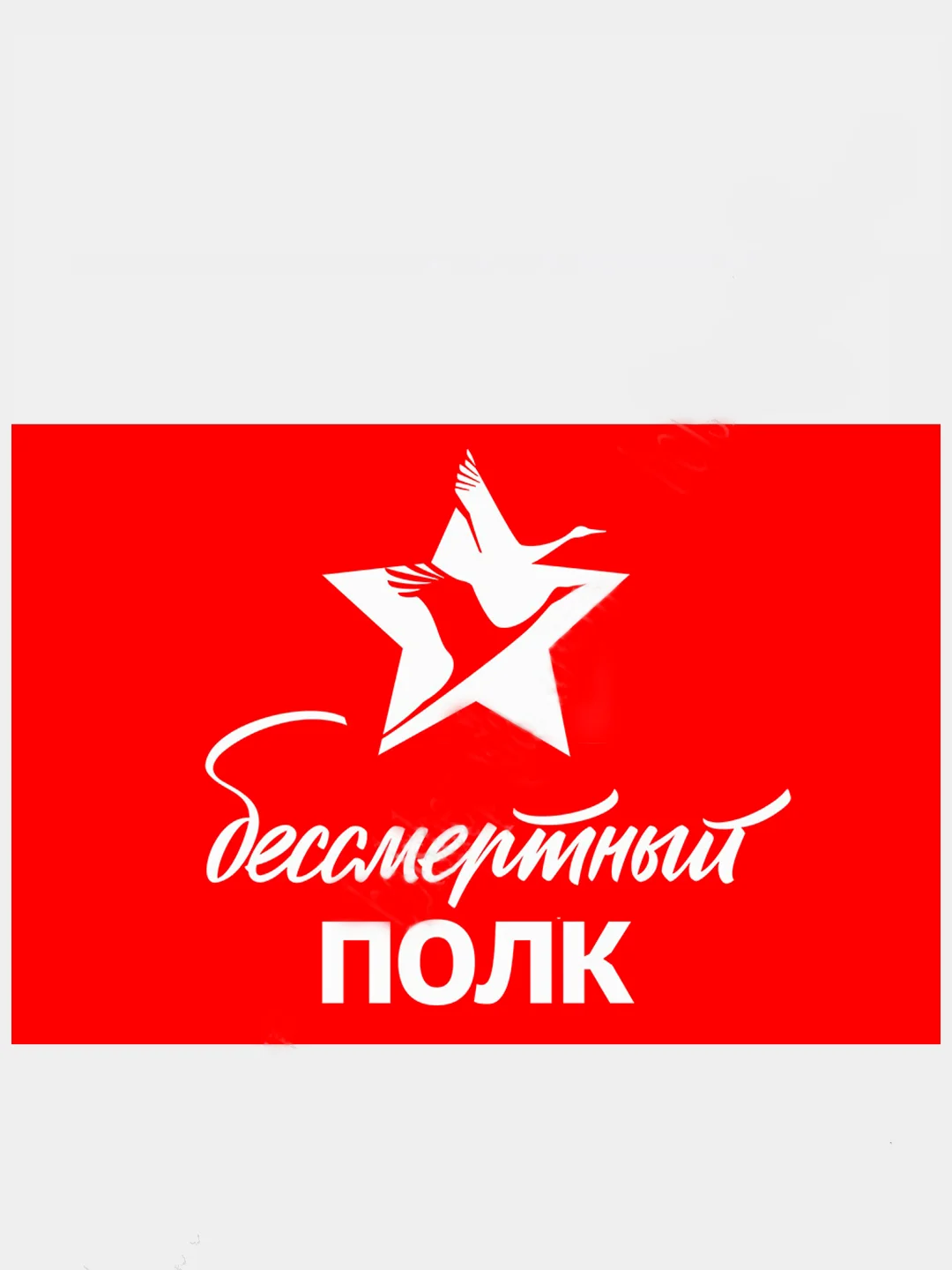 Флаг России, "Zадача будет выполнена", "Бессмертный полк", "Своих не бросаем", с гербом
