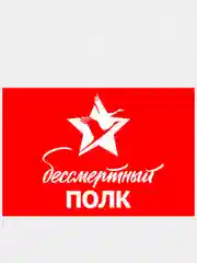 Флаг России, "Zадача будет выполнена", "Бессмертный полк", "Своих не бросаем", с гербом