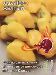 Семена,Перец острый Хабанеро жёлтый,Седек