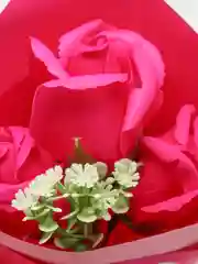 Алый мыльные розы с мишкой, Мыльные розы, Подарок женщине, подарок на 8 марта
