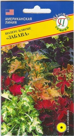 Семена цветов Колеус блюме "Забава", смесь