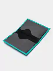 Мятный обложка на паспорт однотонная