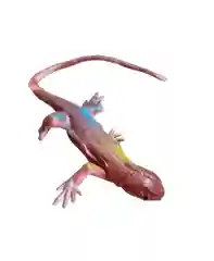 Фигурки животных, резиновые