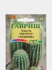 Семена Эспостоа "Снежинка" Гавриш, 4 штуки