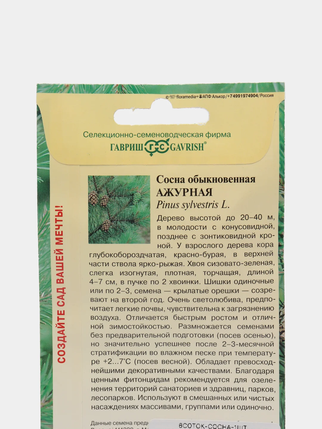 Семена Сосна обыкновенная "Ажурная", Гавриш, 0,2 г
