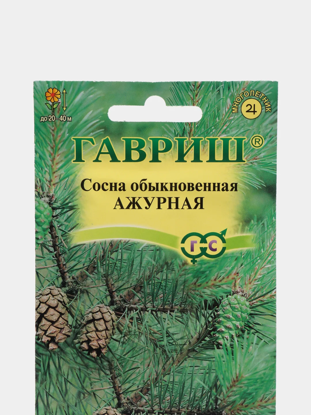 Семена Сосна обыкновенная "Ажурная", Гавриш, 0,2 г