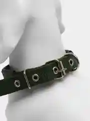 Ошейник для собак, 2 см