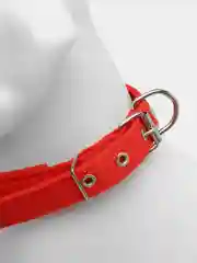 Ошейник для собак, 2,5 см