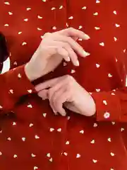 Бордовый блузка женская Tiffan