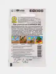 Семена Лук репчатый "Кармен МС" фиолетовый