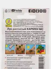 Семена Лук репчатый "Кармен МС" фиолетовый