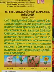 Бархатцы Гармония откл., 0,3г/Аэлита