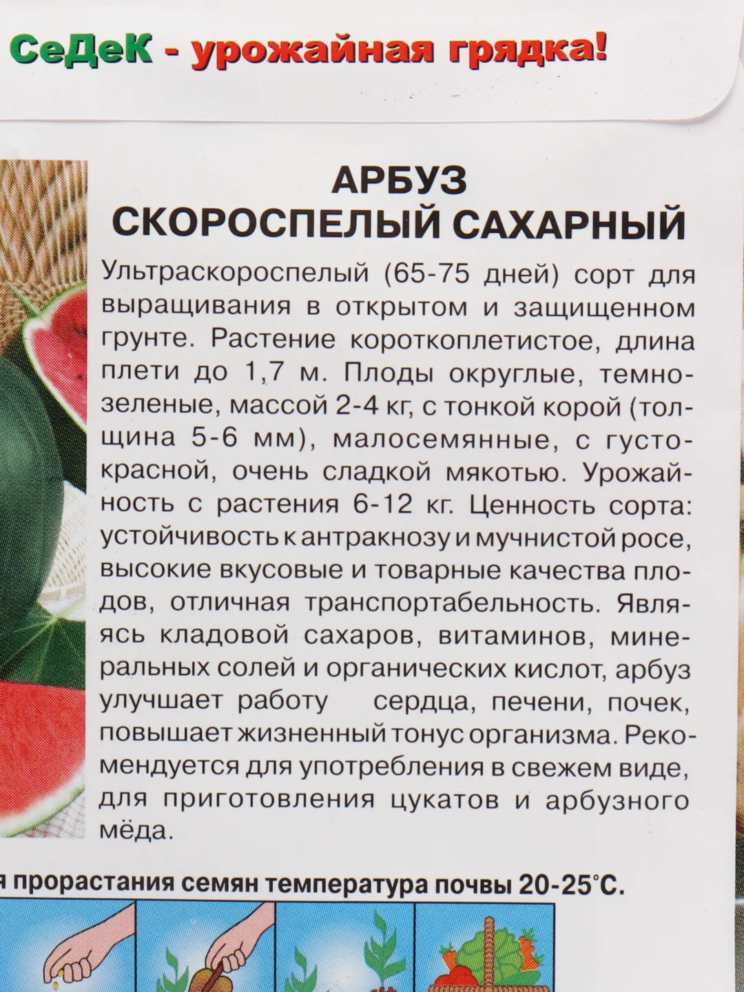 Арбуз Скороспелый сахарный, 1г/Седек