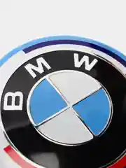 Ступичные колпачки-заглушки на диски BMW, 67 мм