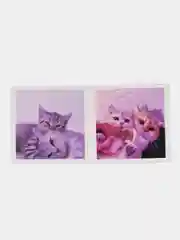 Наклейки-стикеры "Котики, коты"