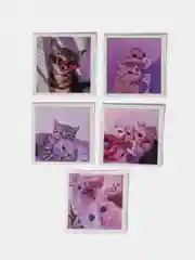 Наклейки-стикеры "Котики, коты"