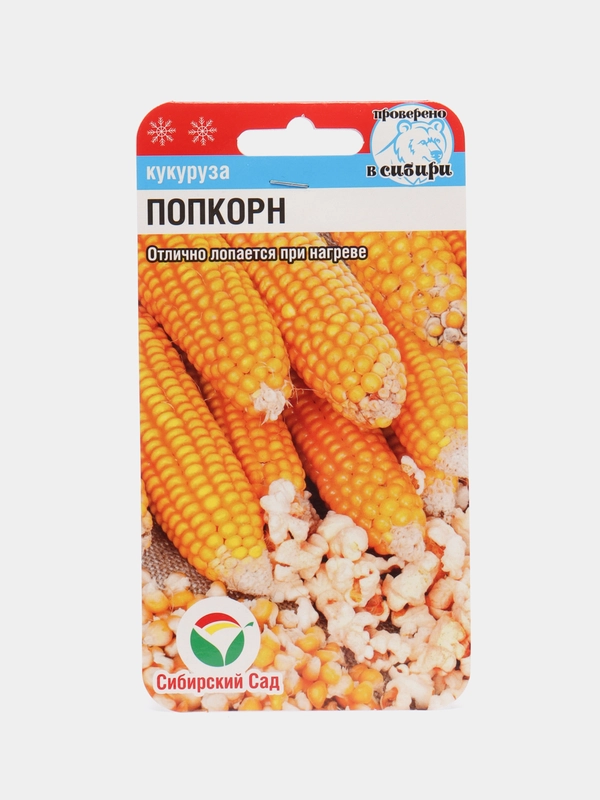 Семена Кукуруза "Попкорн", Сибирский сад, 10 штук