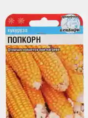 Семена Кукуруза "Попкорн", Сибирский сад, 10 штук