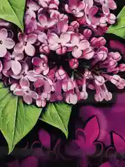 Сиреневый пакет подарочный, ламинированный/ 37 x 46 см/Набор из 3,5 штук/Пакет на все случаи жизни