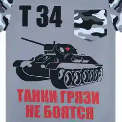 Серый комплект детский для мальчика: футболка и шорты, 2-9 лет, камуфляж
