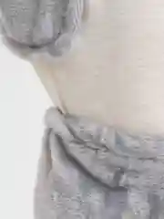 Карнавальный костюм волк