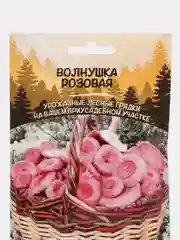 Семена грибов "Волнушка розовая"