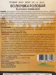 Семена грибов "Волнушка розовая"