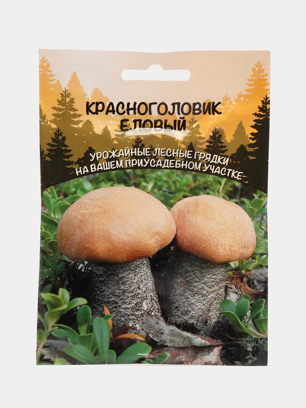Семена грибов "Красноголовик Еловый"