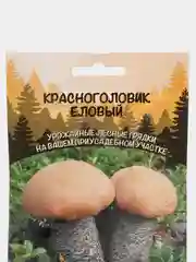 Семена грибов "Красноголовик Еловый"