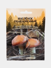Семена грибов "Масленок"