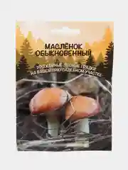 Семена грибов "Масленок"
