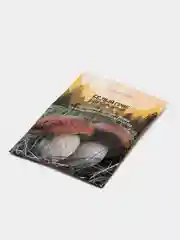 Семена Белый гриб "Березовый"