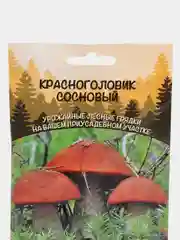 Семена грибов "Красноголовик Сосновый"
