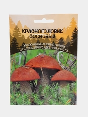 Семена грибов "Красноголовик Сосновый"