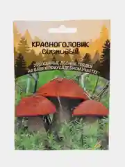 Семена грибов "Красноголовик Сосновый"