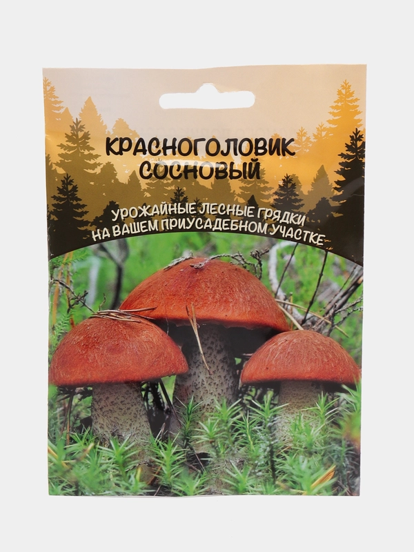 Семена грибов "Красноголовик Сосновый"