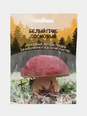 Семена Белый гриб "Сосновый"