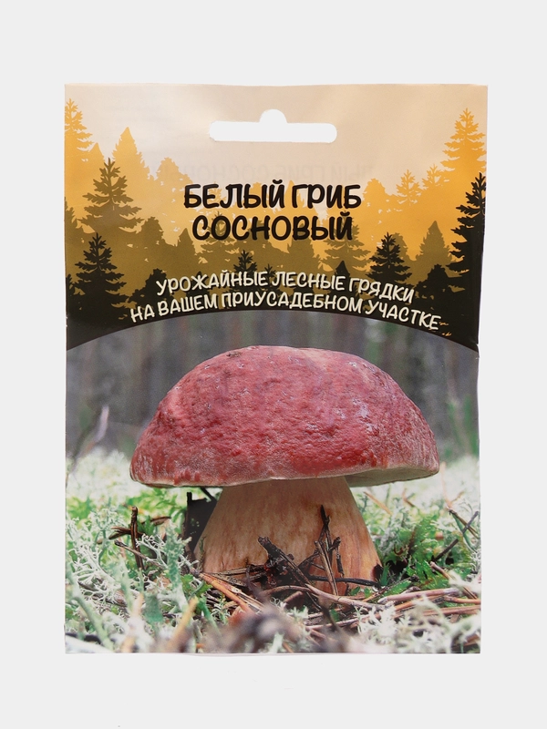 Семена Белый гриб "Сосновый"