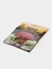 Семена Белый гриб "Сосновый"