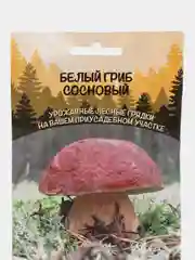 Семена Белый гриб "Сосновый"