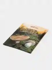 Семена Белый гриб "Классический"
