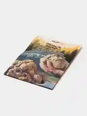 Семена грибов "Трюфель Белый"