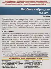 Вербена Мамут (семена,цветы)