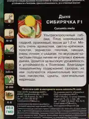 Семена Дыня "Сибирячка"