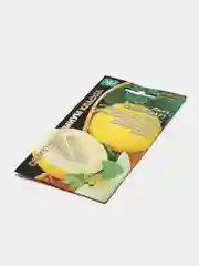 Семена Дыня "Сибирячка"