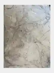Молочный фотофон гибкий, односторонний, 29 х 44 см