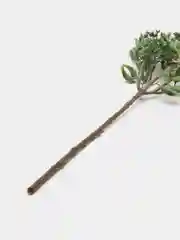 Белый искусственные цветы "Гортензия", для декора