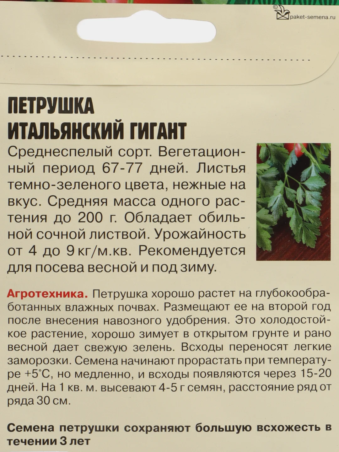 Семена Петрушка "Итальянский гигант", листовая, среднеспелый сорт, 5000 штук