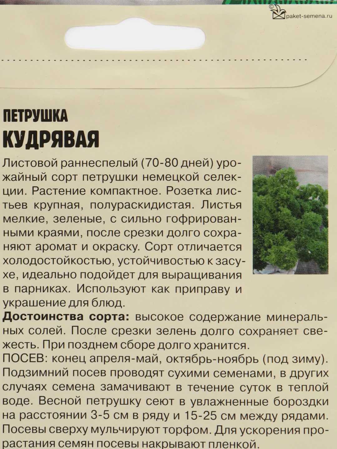 Семена Петрушка Кудрявая раннеспелый урожайный сорт немецкой селекции, 5000 шт