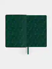 Ежедневник-планер (планинг) - блокнот недатиров. А5 BRAUBERG экокожа твердый, 136л, 112028
